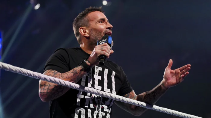 VIDEO: CM Punk cuts promo after WWE Madison Square Garden return