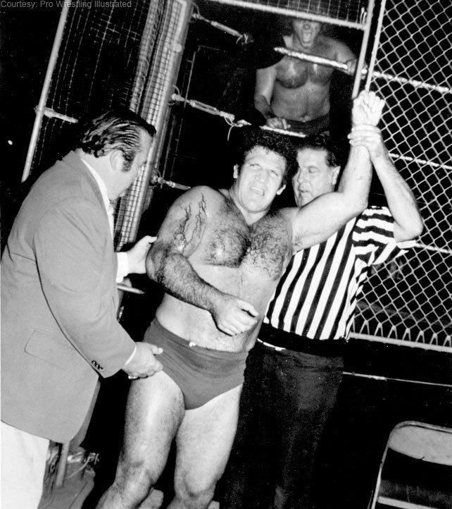 Daily Pro Wrestling History (08/09): Showdown at Shea 1980