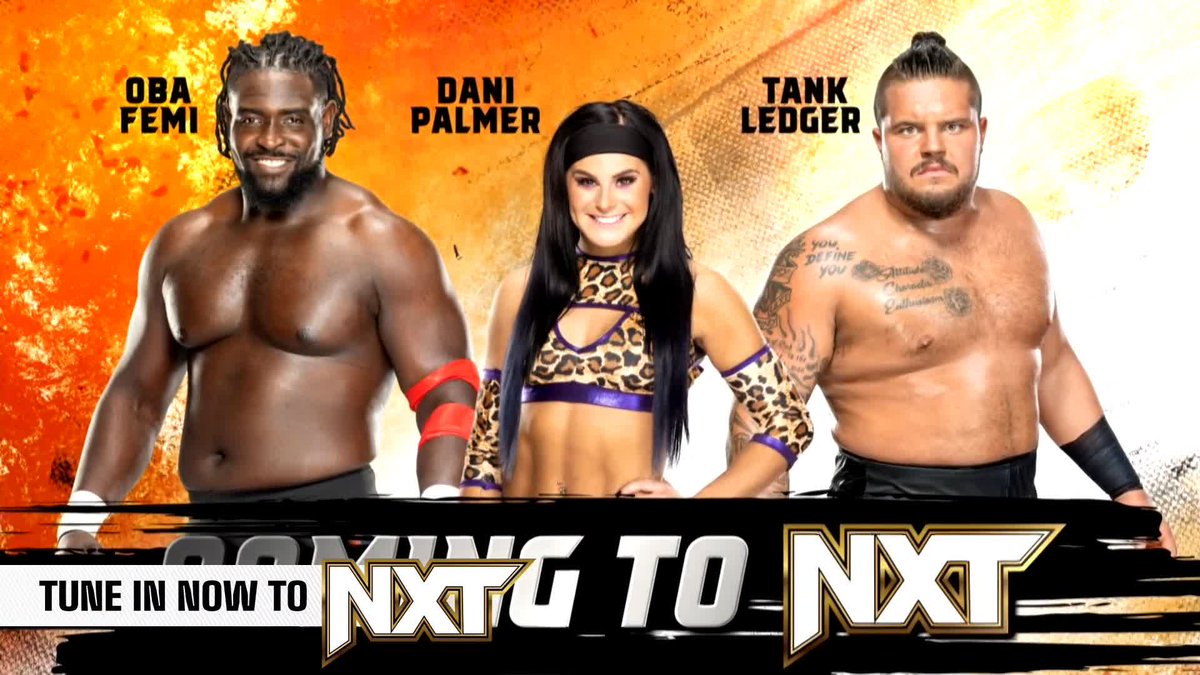 Oba Femi, Dani Palmer, Tank Ledger coming to WWE NXT