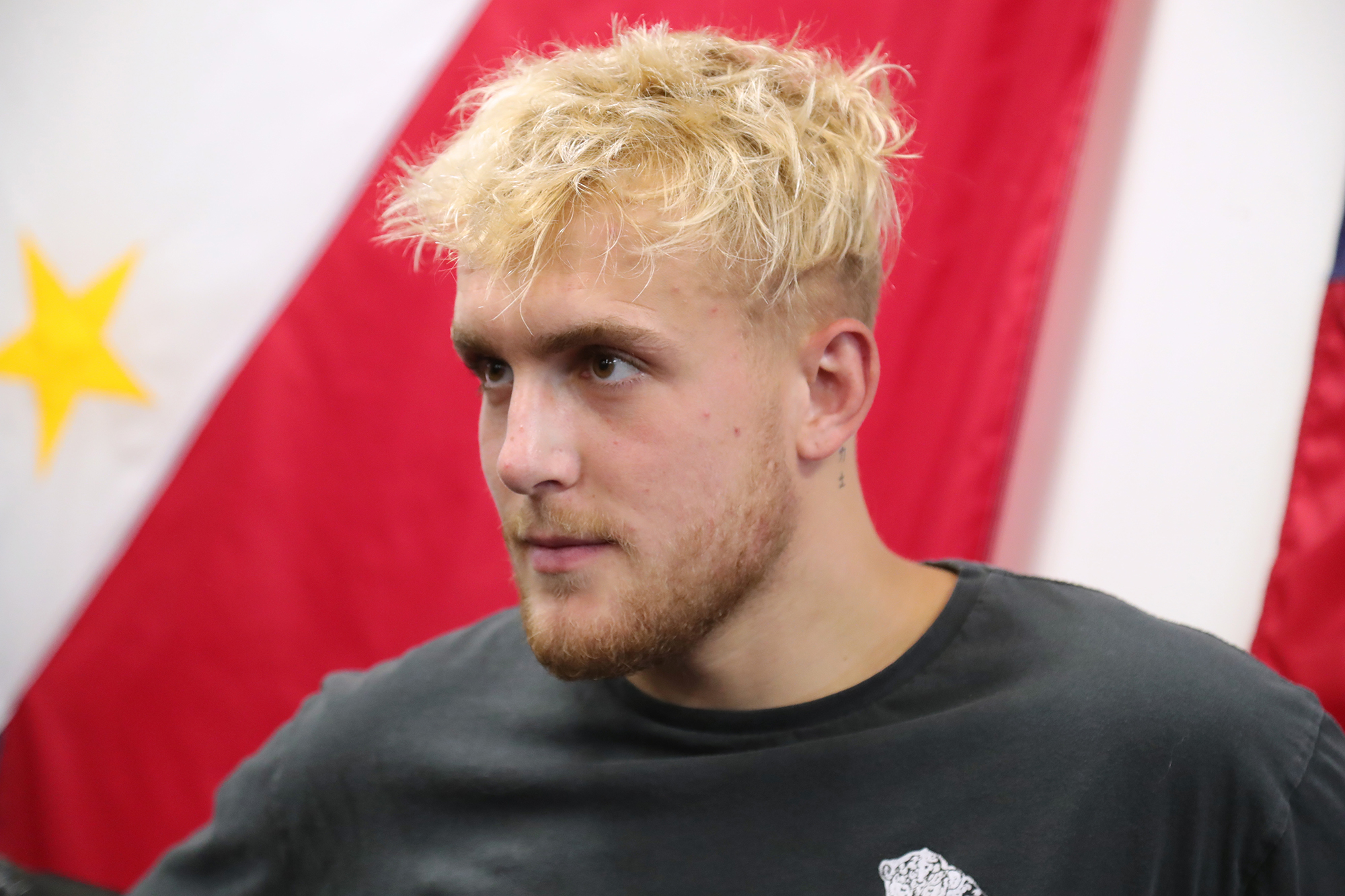 Daily Update: WWE Royal Rumble, Jake Paul-Dana White, Riho