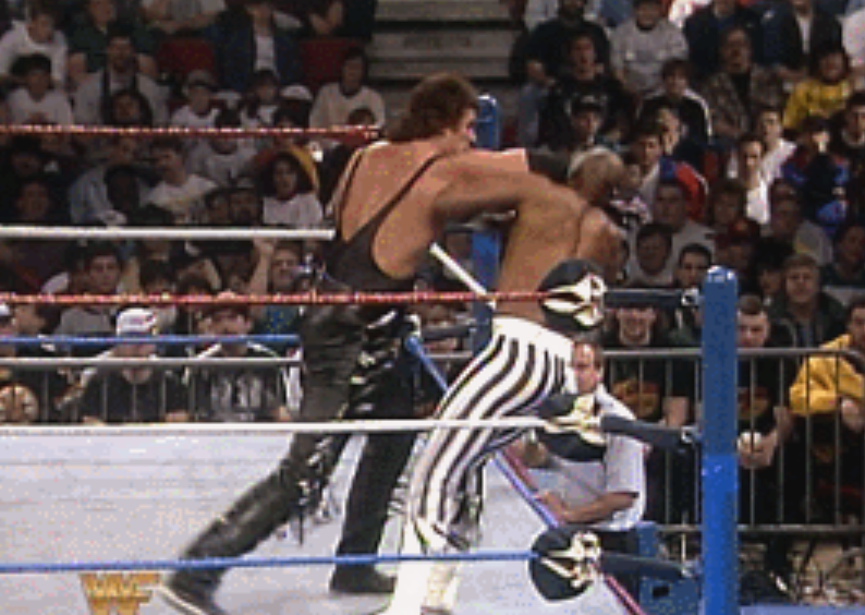 Bryan & Vinny & Craig & Shawn Show: Granny plus Royal Rumble 1994 top matches!