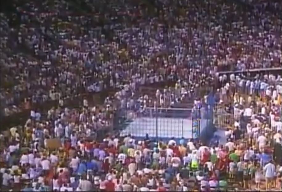 Daily Pro Wrestling History (07/31): WWF WrestleFest 1988