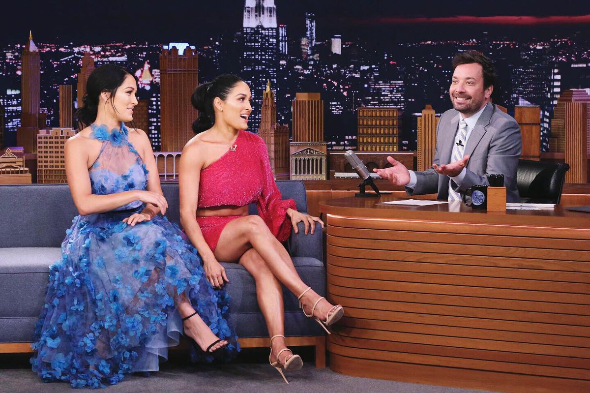 VIDEO: Nikki Bella discusses injuries that forced her to retire