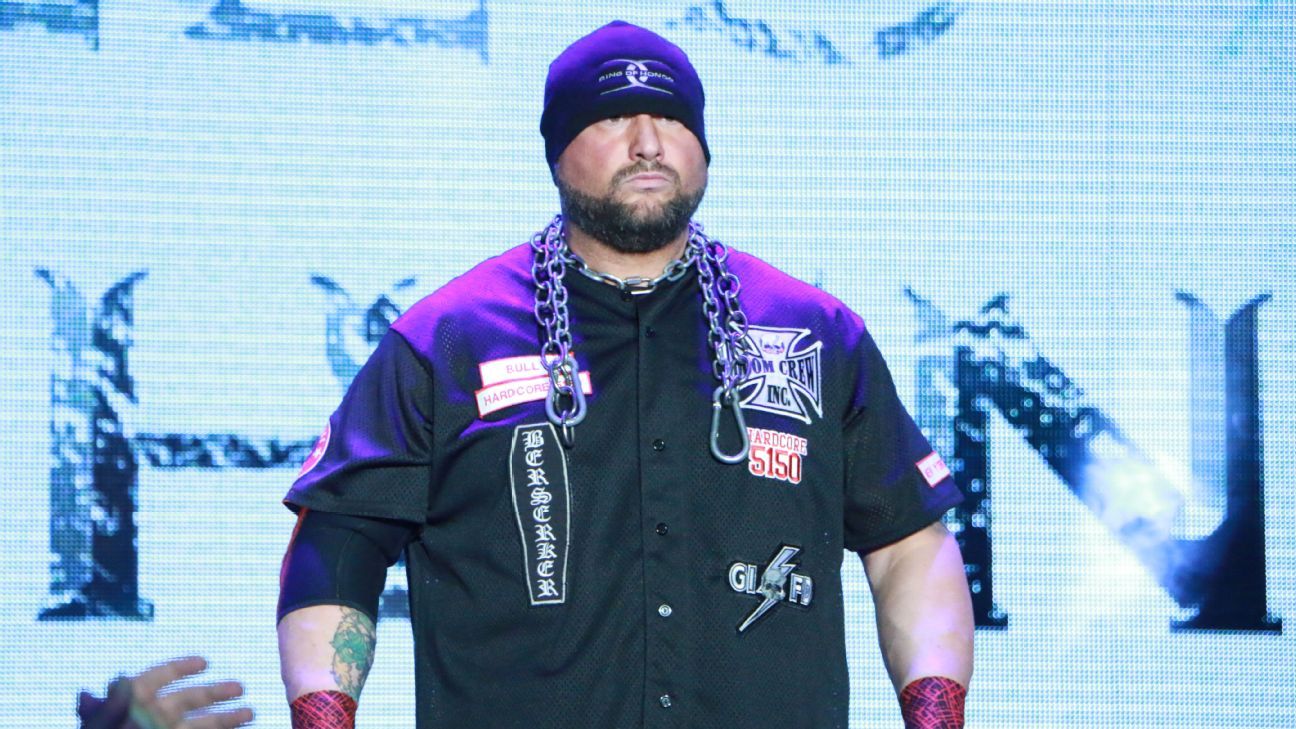 ROH still investigating Bully Ray fan incident