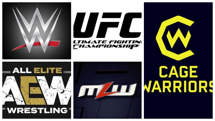 JNPO: The combat sports coronavirus era has arrived