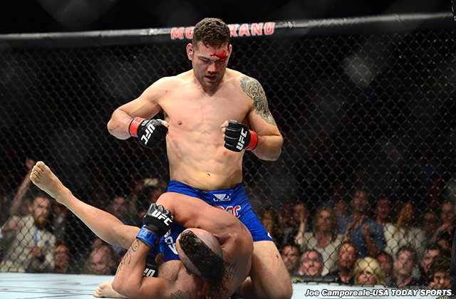 New York State Assembly legalizes MMA