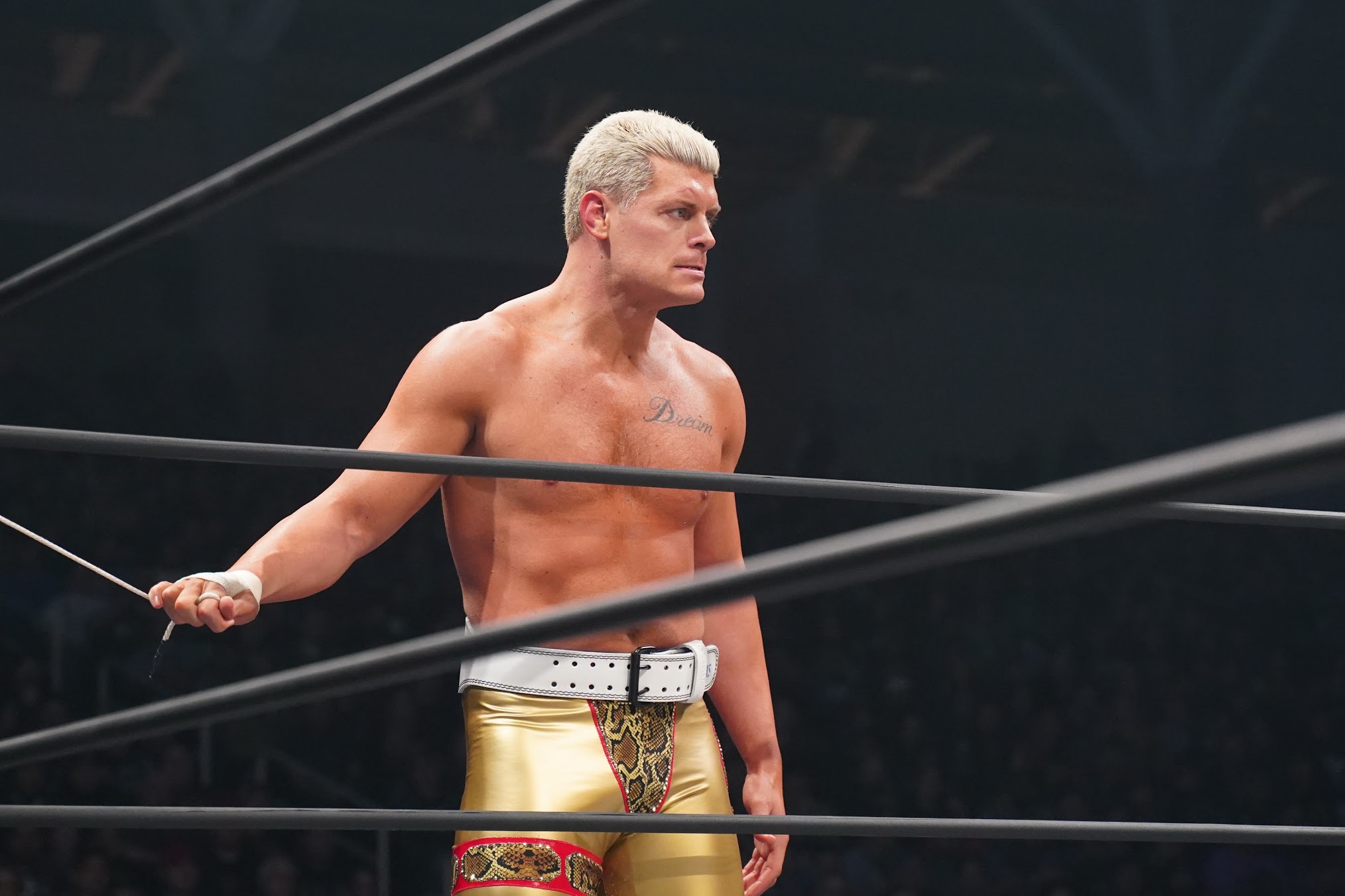 Cody: Next year’s AEW Dynamite will be live on the Jericho Cruise