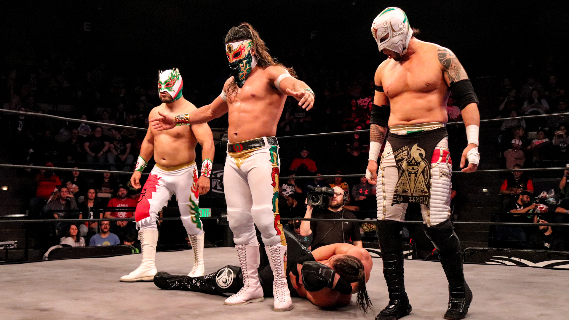 Flamita suffered torn meniscus, pulled from two ROH shows