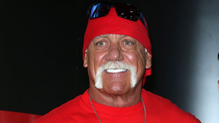 Figure Four Weekly 8/22/2016: Gawker destroyed by Hulk Hogan