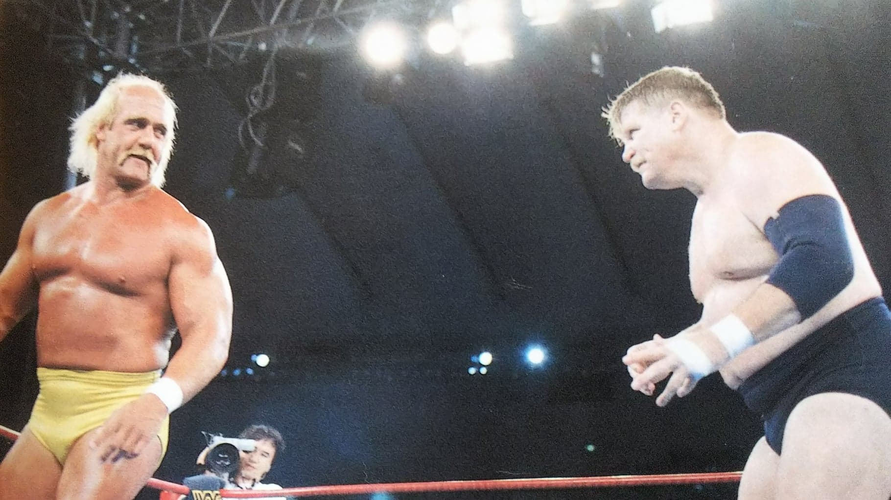 Pacific Rim: 30th anniversary of the Wrestling Summit