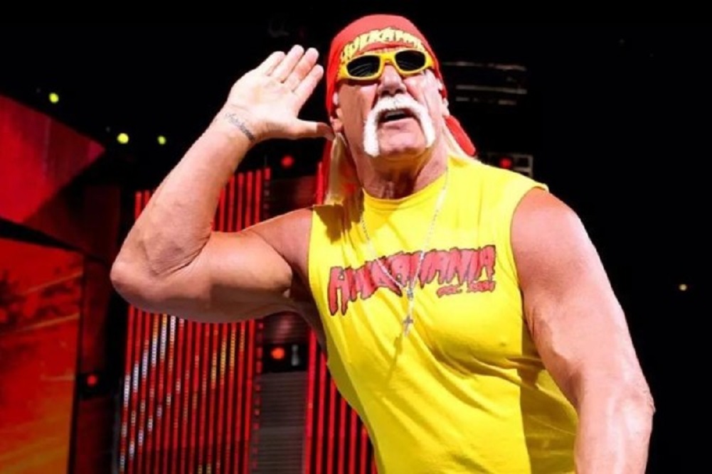 Nick Hogan suing Bubba the Love Sponge over Hulk Hogan sex tape documentary