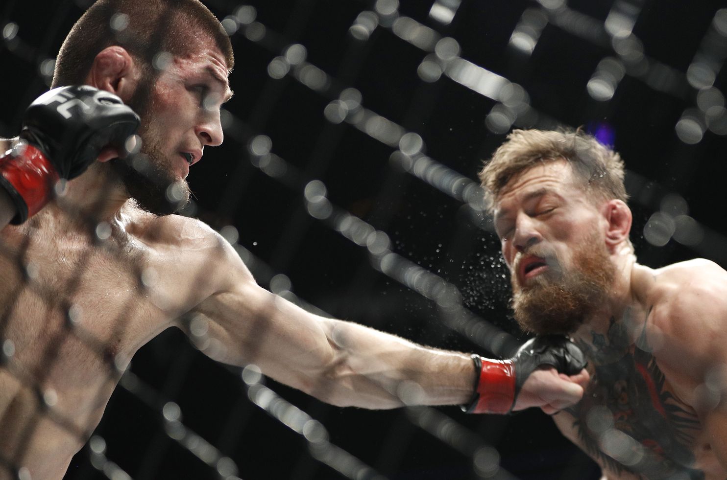 Khabib submits Conor McGregor at UFC 229 leading to wild cageside brawl