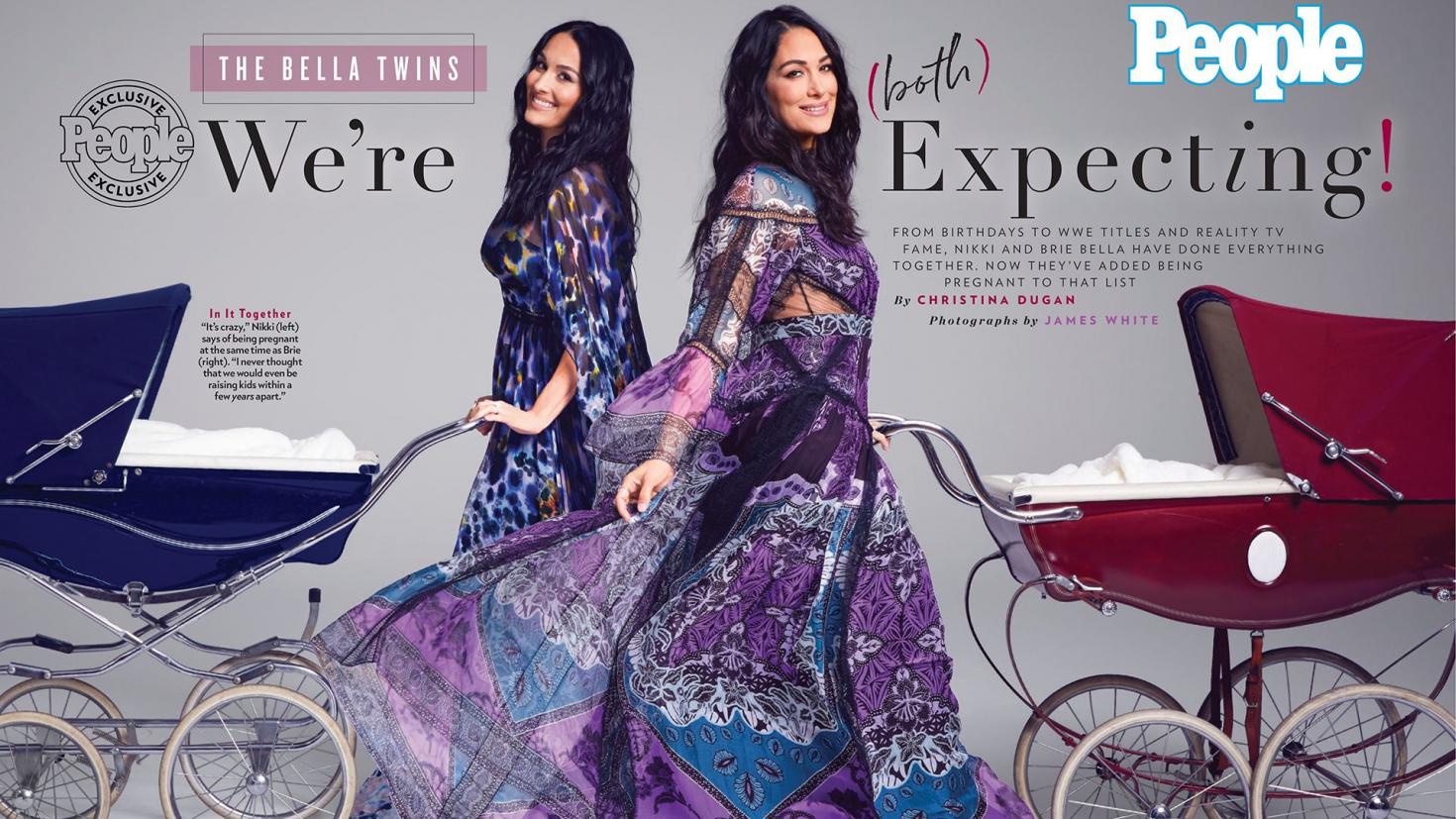 Nikki & Brie Bella both announce pregnancies