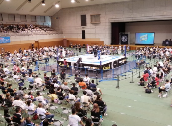 Big Audio Nightmare: Virus scares in Japan, NOAH booking woes, more