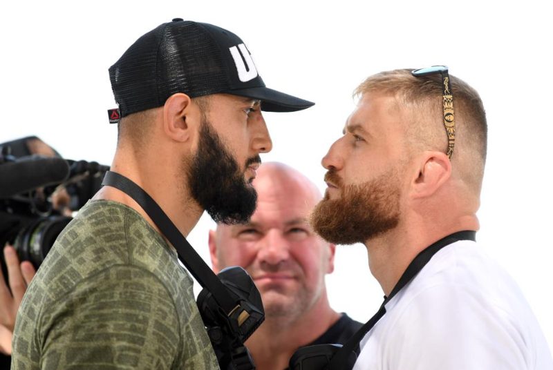 New light heavyweight champion crowned at UFC 253