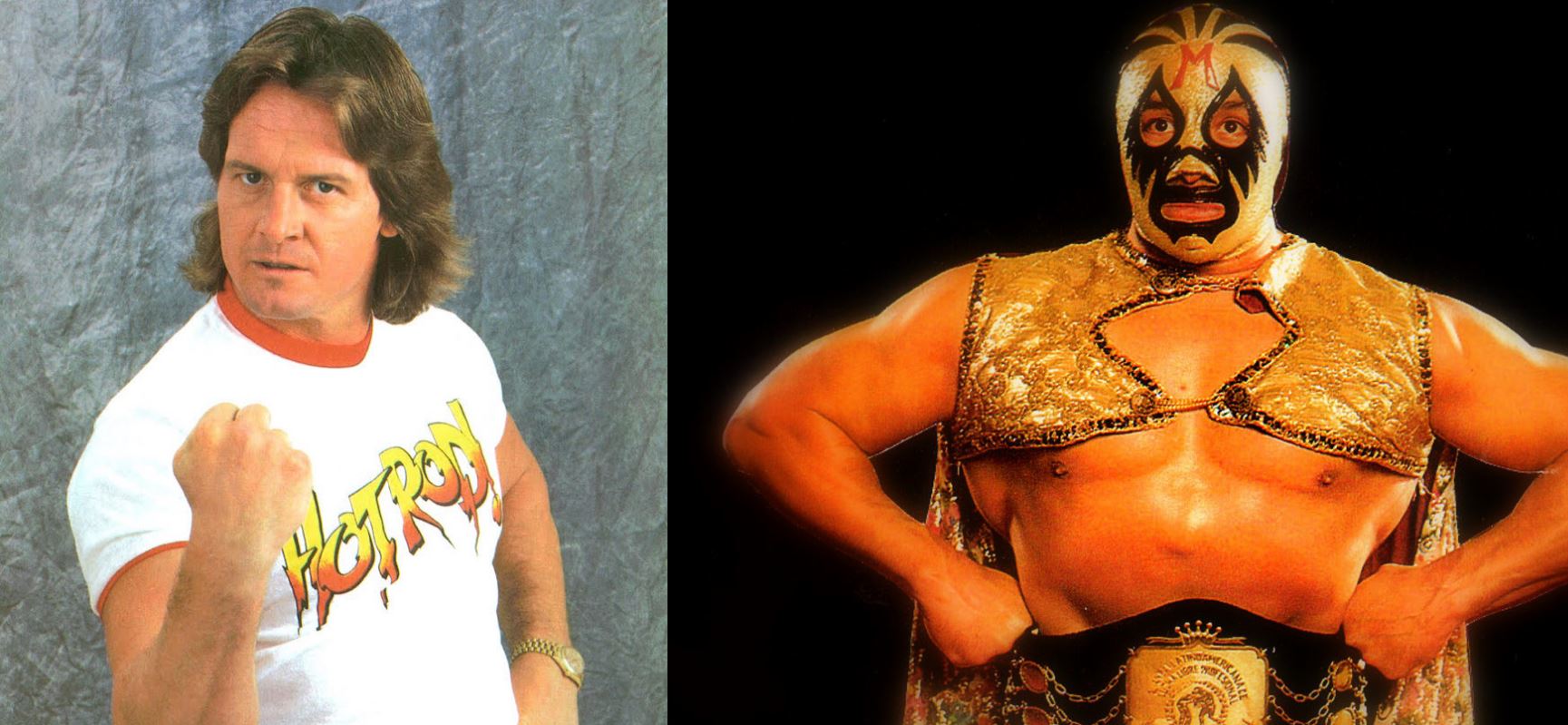 DragonKingKarl Greatest Kayfabe Tournament: Piper vs. Mascaras