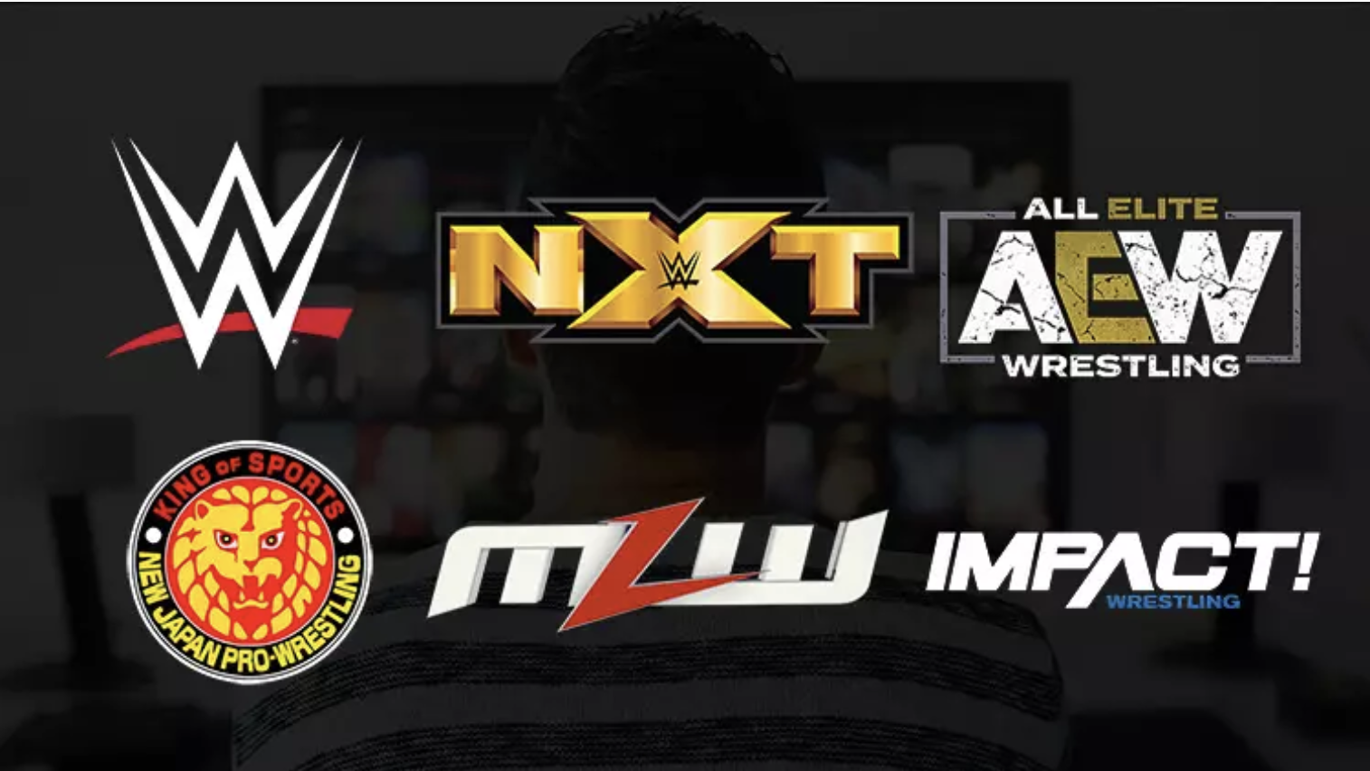 We’re looking for wrestling TV show recappers