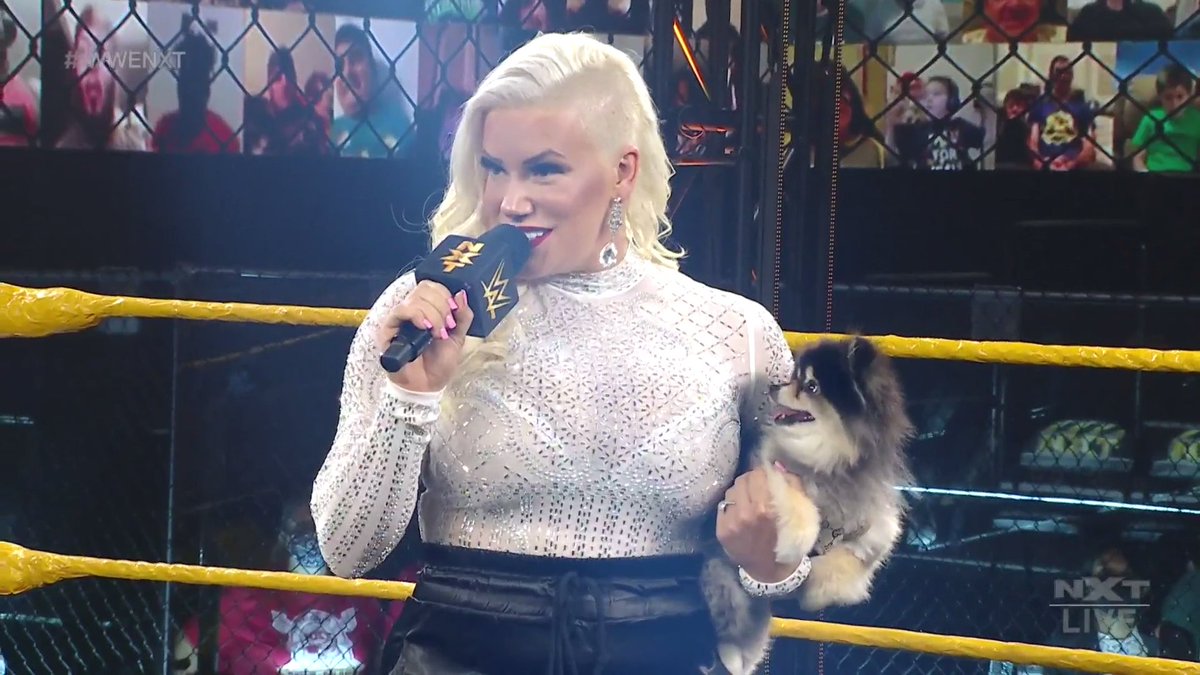 Taya Valkyrie debuts as Franky Monet on WWE NXT
