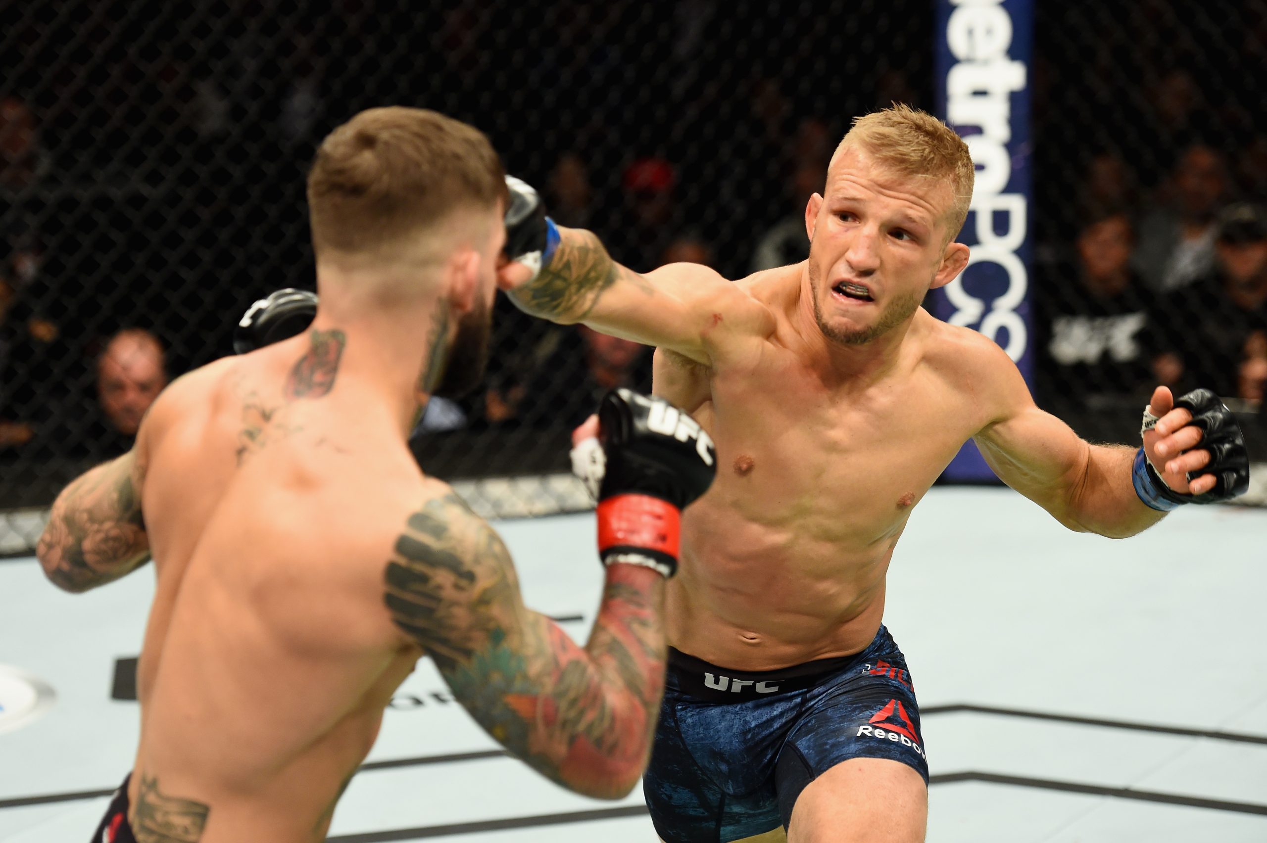 UFC’s TJ Dillashaw gets two year suspension from USADA