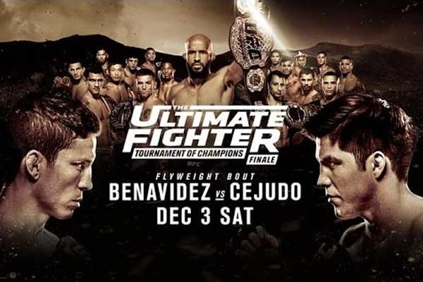 The Ultimate Fighter 24 Finale live results: Demetrious Johnson vs. Tim Elliott