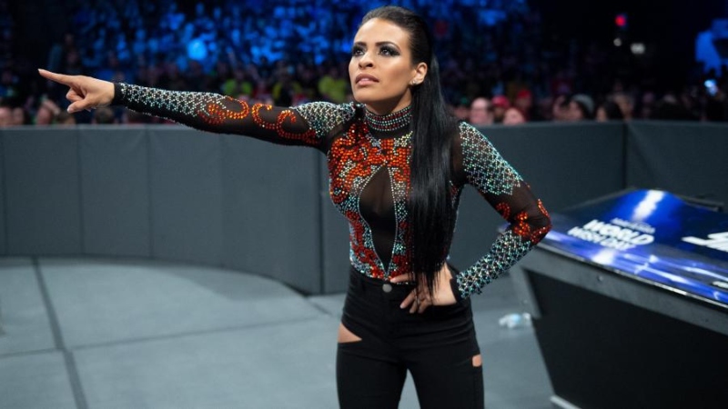 Zelina Vega, WWE working on plan for return