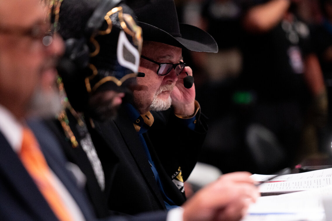 Daily Update: Triple H, Jim Ross, Meiko Satomura