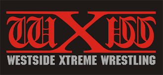 wXw will no longer work with Tristan Archer following abuse allegations
