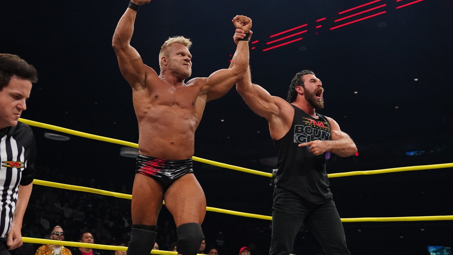 Hammerstone to undergo surgery for knee injury