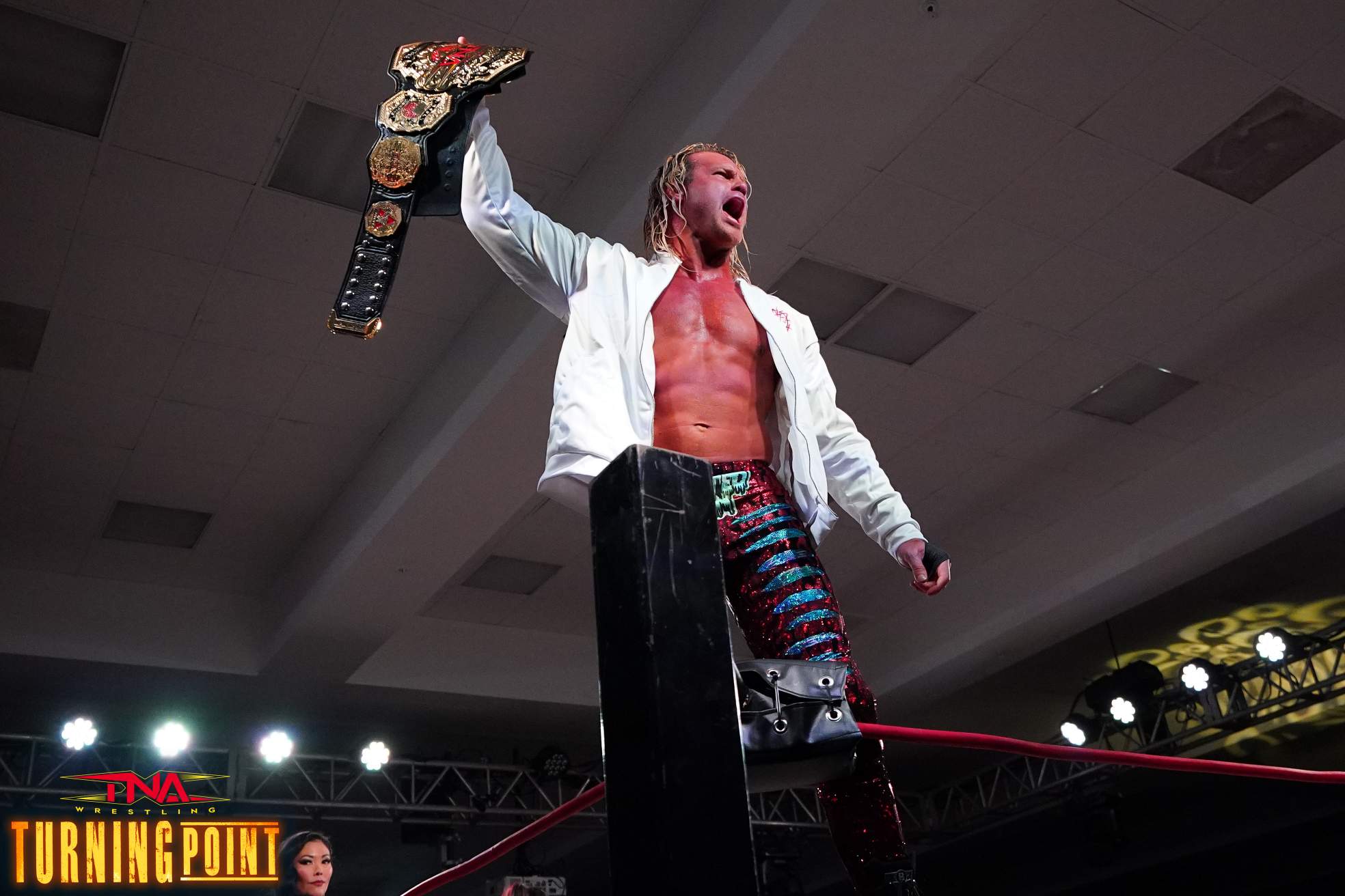 Big Vinny V: TNA Turning Point recap