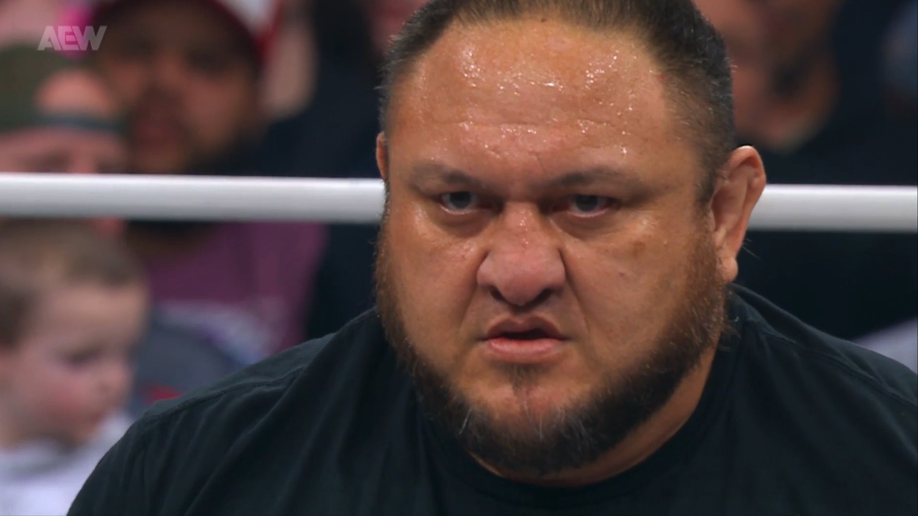 WOR: McMahon/Grant, Dynamite, Corey Graves, NXT