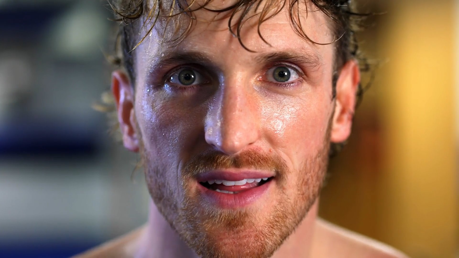 Logan Paul and Cody Rhodes appearances, Tag title match set for next WWE Raw