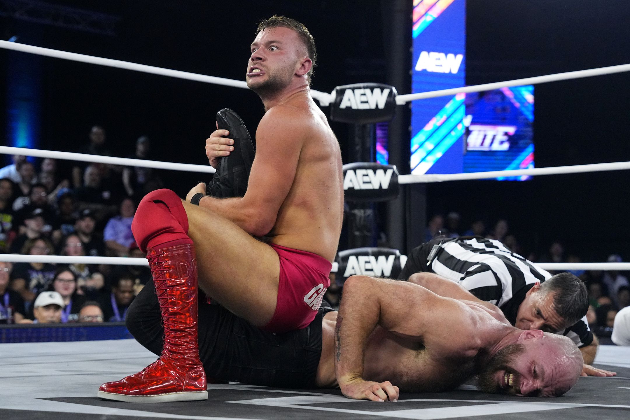 WOR: Stu, DDP, Taz, AEW and NXT TV, more!