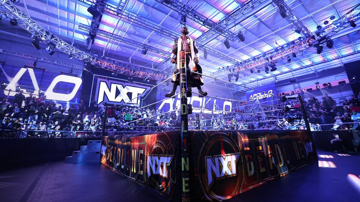 Injured WWE wrestler back training in ring