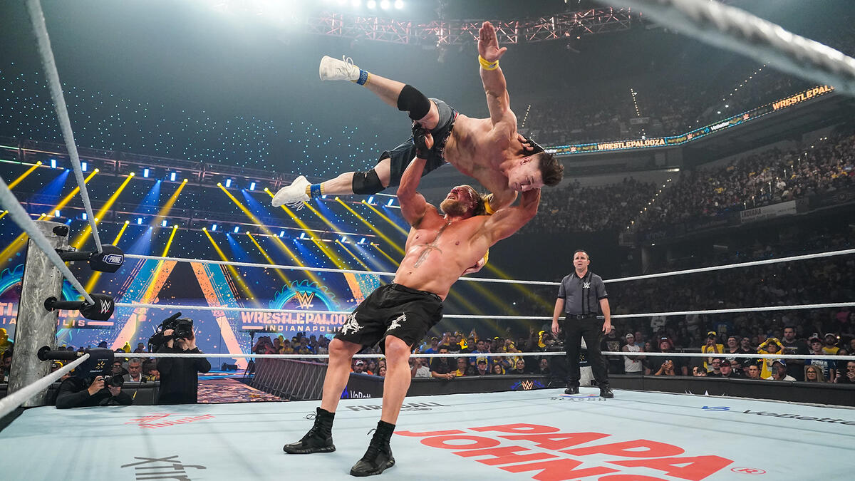 Clarification on Brock Lesnar vs. John Cena WWE Wrestlepalooza finish