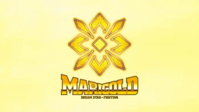 Marigold’s Rossy Ogawa apologizes to Stardom for copyright violation