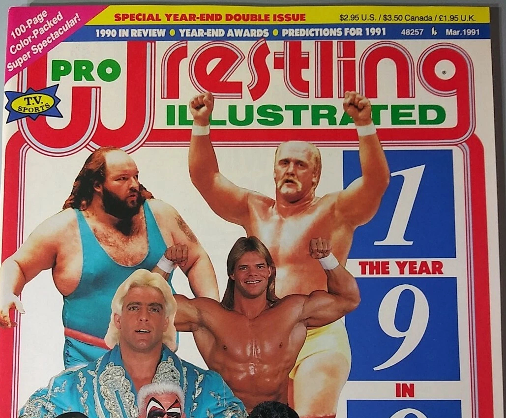 DragonKingKarl: The 1990 wrestling year in review