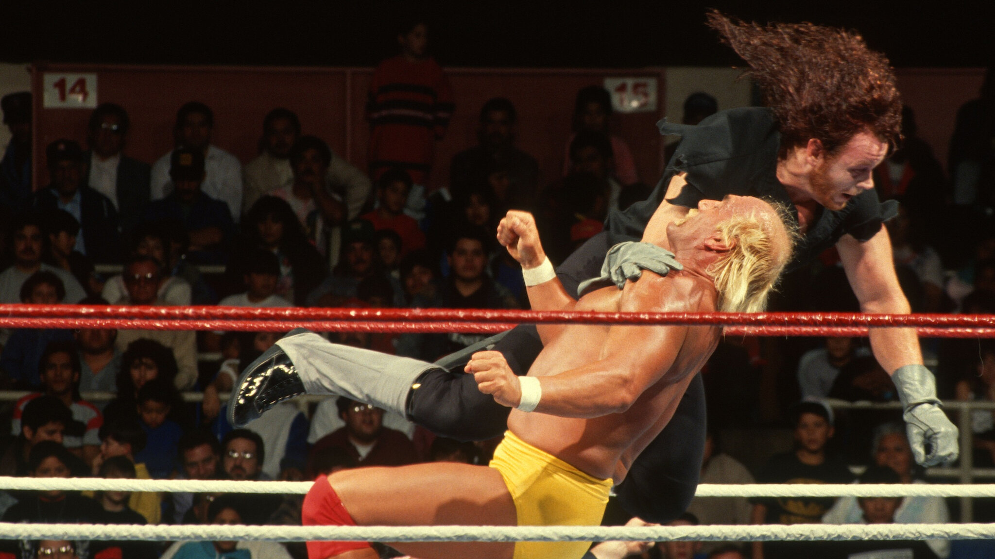 DragonKingKarl: A look back at 1991’s WWF This Tuesday in Texas PPV