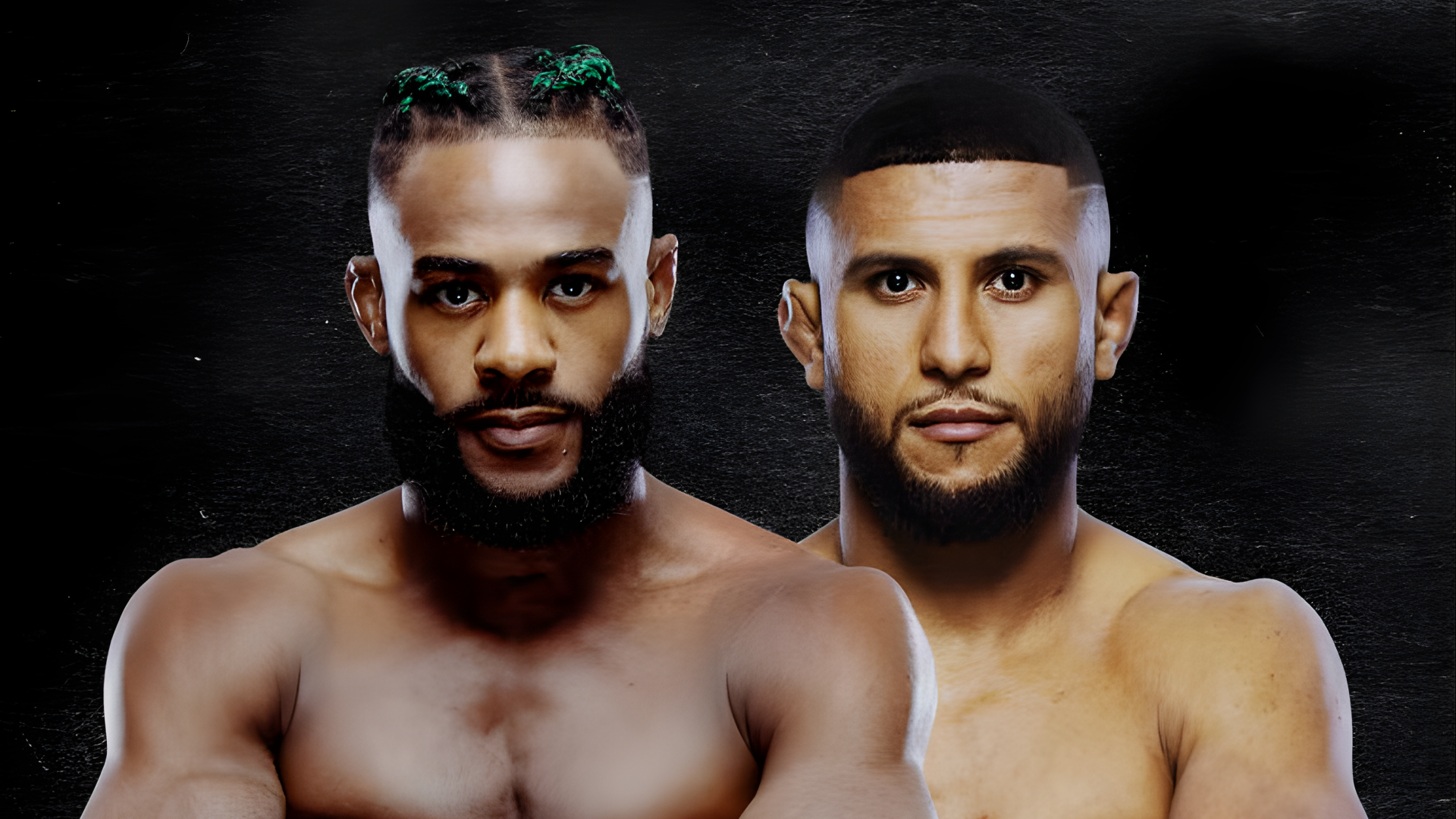 UFC Fight Night Sterling vs Zalal Main Event